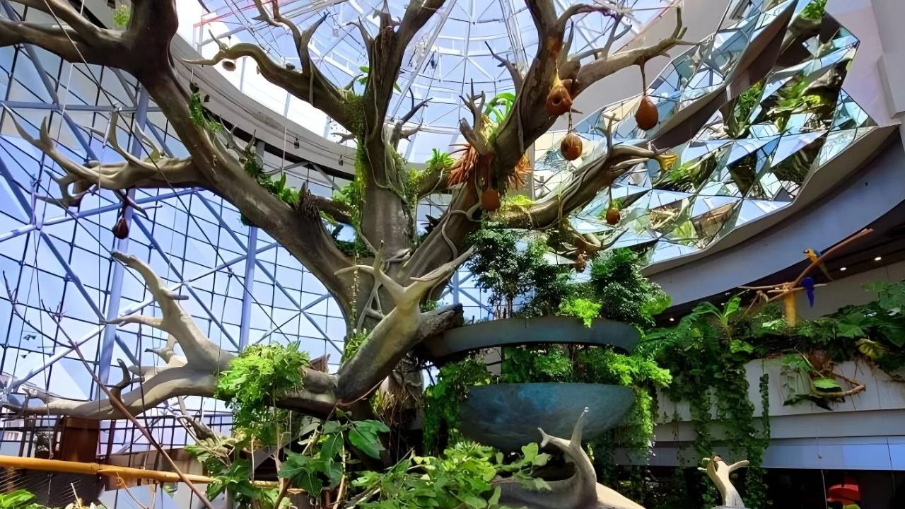 سیاره سبز دبی