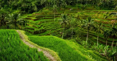 creative-life-tegalalang